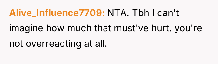 Alive_Influence7709 NTA. Tbh I can't imagine how much that must've...