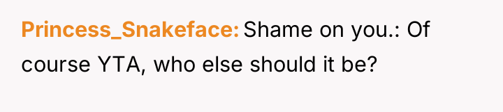 Princess_Snakeface Shame on you.: Of course YTA, who else should...