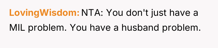LovingWisdom NTA: You don't just have a MIL problem. You...