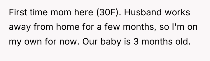First time mom here (30F). Husband works away from home...