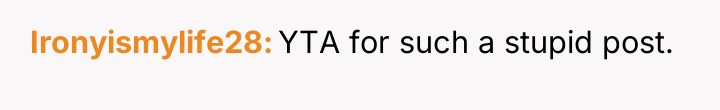 Ironyismylife28 YTA for such a stupid post.