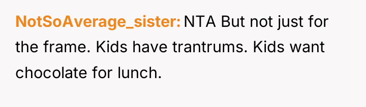 NotSoAverage_sister NTA But not just for the frame. Kids have...