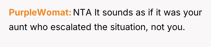 PurpleWomat NTA It sounds as if it was your aunt...