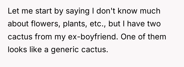 Let me start by saying I don't know much about...