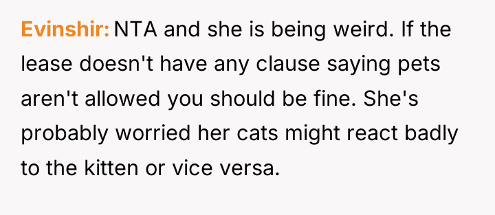 Evinshir NTA and she is being weird. If the lease...