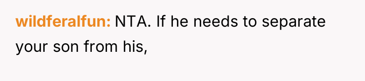 wildferalfun NTA. If he needs to separate your son from...