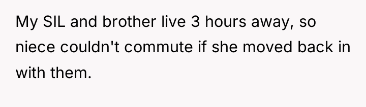 My SIL and brother live 3 hours away, so niece...