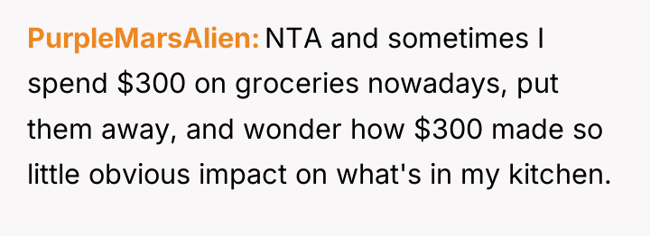 PurpleMarsAlien NTA and sometimes I spend $300 on groceries nowadays,...