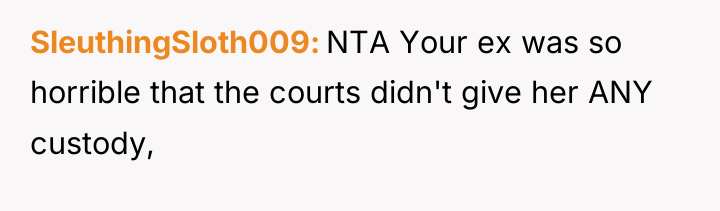 SleuthingSloth009 NTA Your ex was so horrible that the courts...