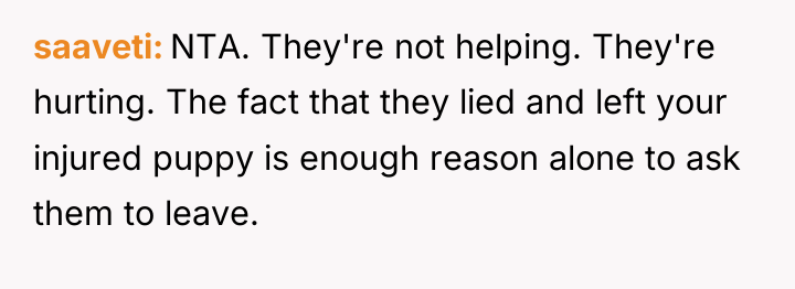 saaveti NTA. They're not helping. They're hurting. The fact that...