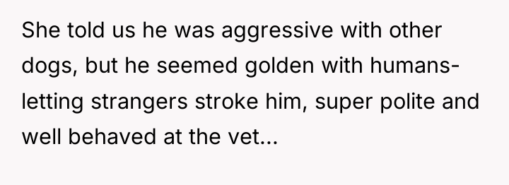 She told us he was aggressive with other dogs, but...