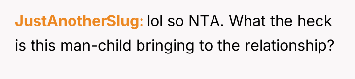 JustAnotherSlug lol so NTA. What the heck is this man-child...