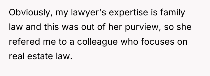 Obviously, my lawyer's expertise is family law and this was...