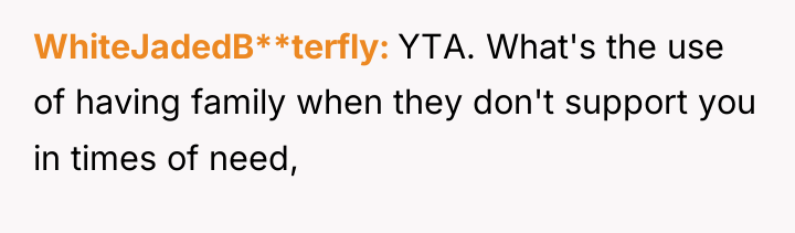 WhiteJadedB**terfly YTA. What's the use of having family when they...