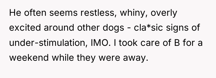 He often seems restless, whiny, overly excited around other dogs...