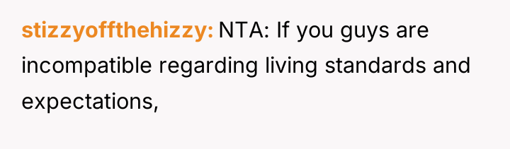 stizzyoffthehizzy NTA: If you guys are incompatible regarding living standards...