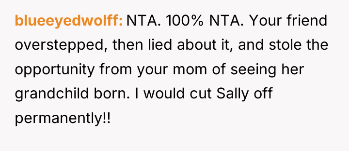 blueeyedwolff NTA. 100% NTA. Your friend overstepped, then lied about...