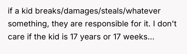 if a kid breaks/damages/steals/whatever something, they are responsible for it....