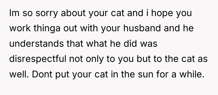 Im so sorry about your cat and i hope you...