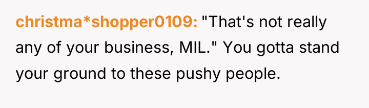 christma*shopper0109 "That's not really any of your business, MIL." You...