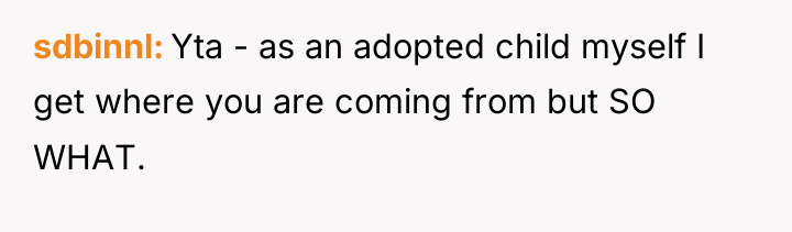 sdbinnl Yta - as an adopted child myself I get...