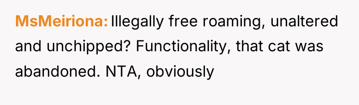 MsMeiriona Illegally free roaming, unaltered and unchipped? Functionality, that cat...