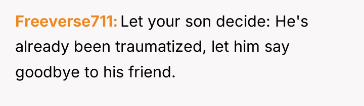 Freeverse711 Let your son decide: He's already been traumatized, let...