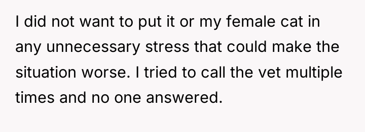 I did not want to put it or my female...