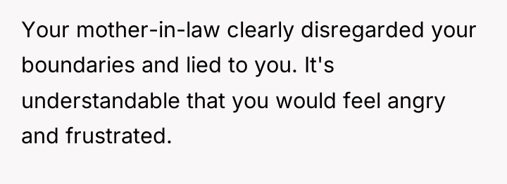 Your mother-in-law clearly disregarded your boundaries and lied to you....