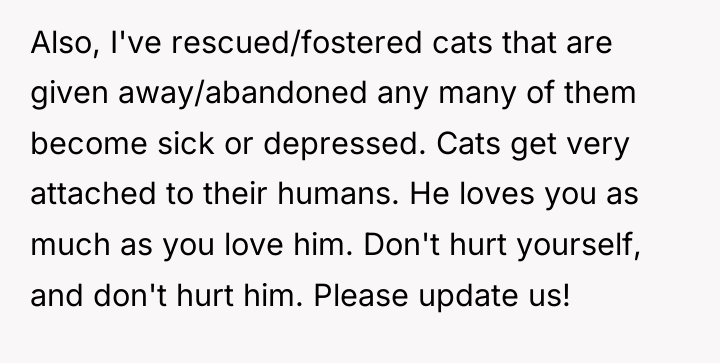 Also, I've rescued/fostered cats that are given away/abandoned any many...