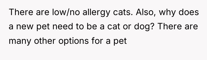 There are low/no allergy cats. Also, why does a new...
