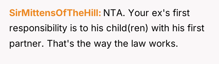 SirMittensOfTheHill NTA. Your ex's first responsibility is to his child(ren)...