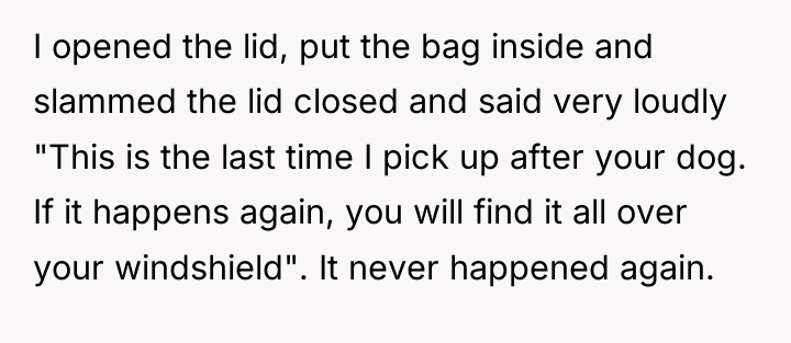 I opened the lid, put the bag inside and slammed...