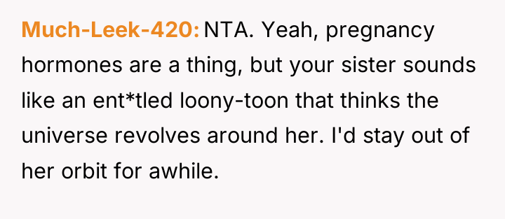 Much-Leek-420 NTA. Yeah, pregnancy hormones are a thing, but your...