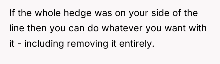 If the whole hedge was on your side of the...