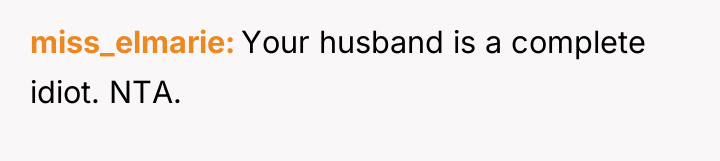 miss_elmarie Your husband is a complete idiot. NTA.