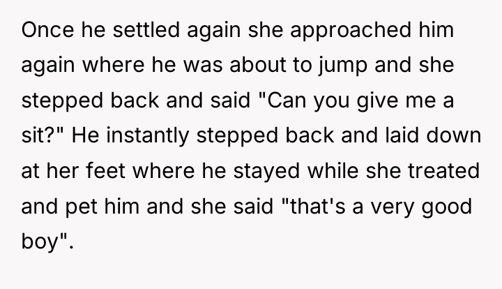 Once he settled again she approached him again where he...