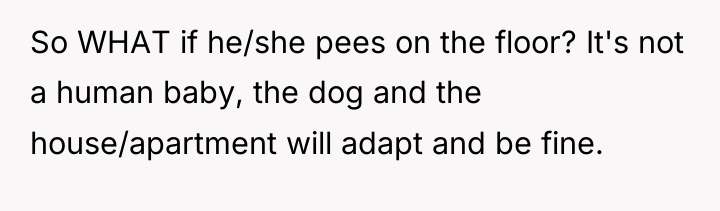 So WHAT if he/she pees on the floor? It's not...