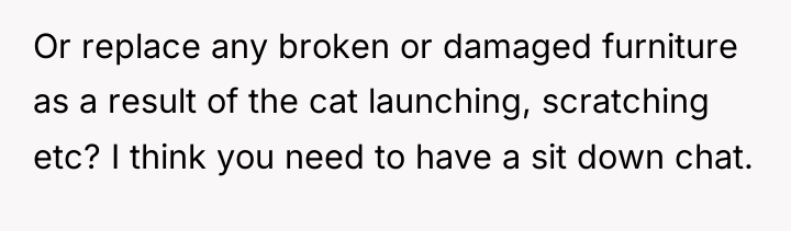 Or replace any broken or damaged furniture as a result...