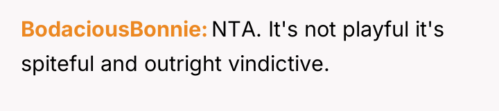 BodaciousBonnie NTA. It's not playful it's spiteful and outright vindictive.