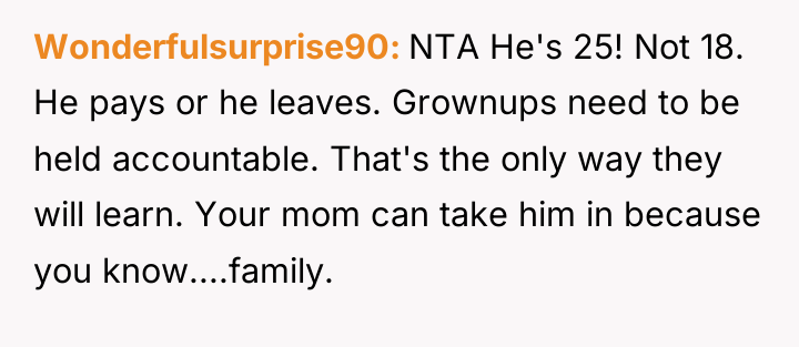 Wonderfulsurprise90 NTA He's 25! Not 18. He pays or he...