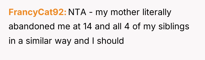FrancyCat92 NTA - my mother literally abandoned me at 14...