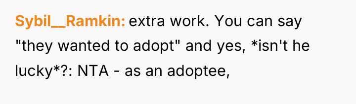 Sybil__Ramkin extra work. You can say "they wanted to adopt"...