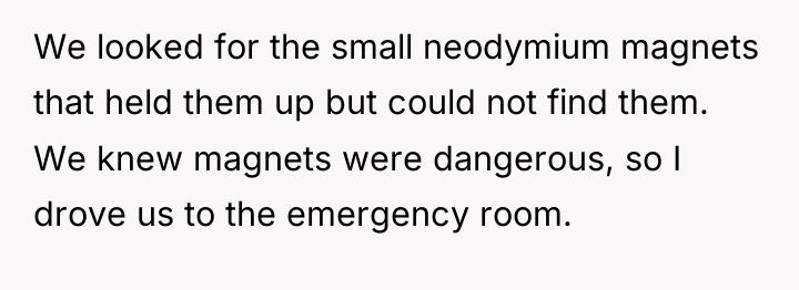 We looked for the small neodymium magnets that held them...