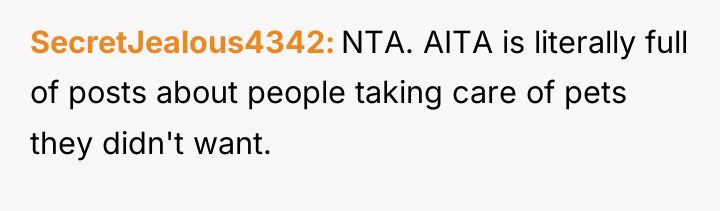 SecretJealous4342 NTA. AITA is literally full of posts about people...