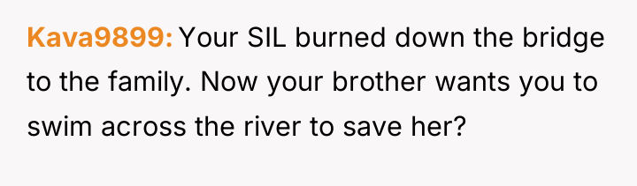 Kava9899 Your SIL burned down the bridge to the family....