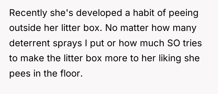 Recently she's developed a habit of peeing outside her litter...