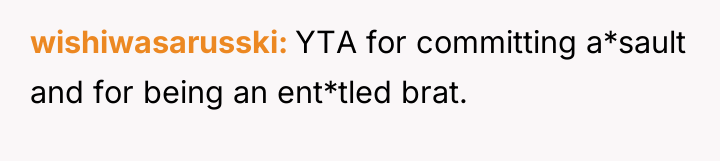 wishiwasarusski YTA for committing a*sault and for being an ent*tled...