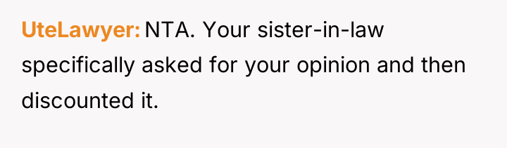UteLawyer NTA. Your sister-in-law specifically asked for your opinion and...