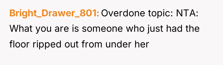 Bright_Drawer_801 Overdone topic: NTA: What you are is someone who...